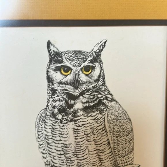 Vintage Ron M. Jenkins signed print of Great Horned Owl. Dated 1974. Matted - Picture 4 of 12